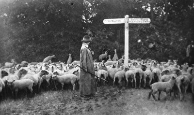 Picturesque War-Work: The Lady Shepherd by English Photographer